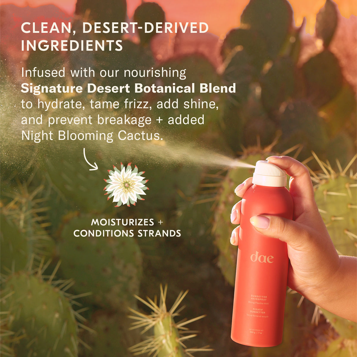 Sunsetter Hairspray