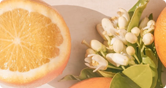Middle fragrance notes
