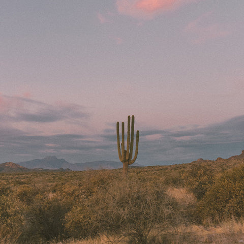April: Monthly Mantra Recap
