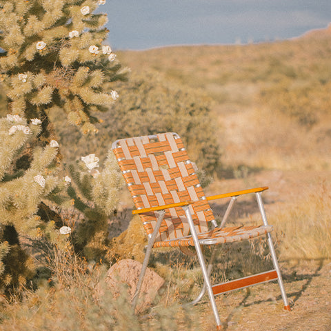 Ingredient Spotlight: Cactus Flower Extract