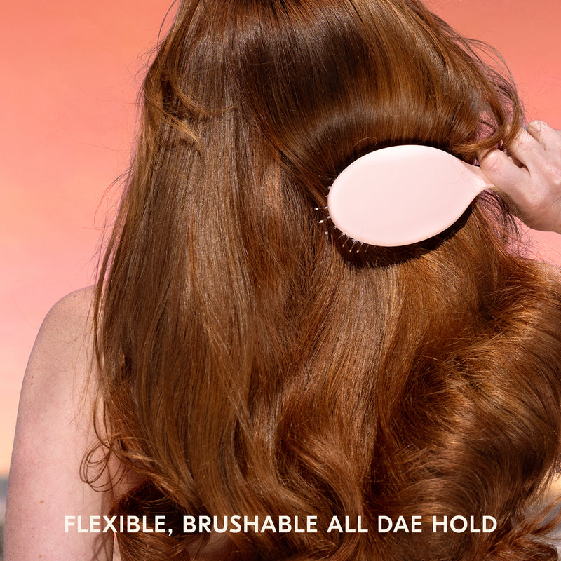 Sunsetter Hairspray & Vegan Brush Duo – dae