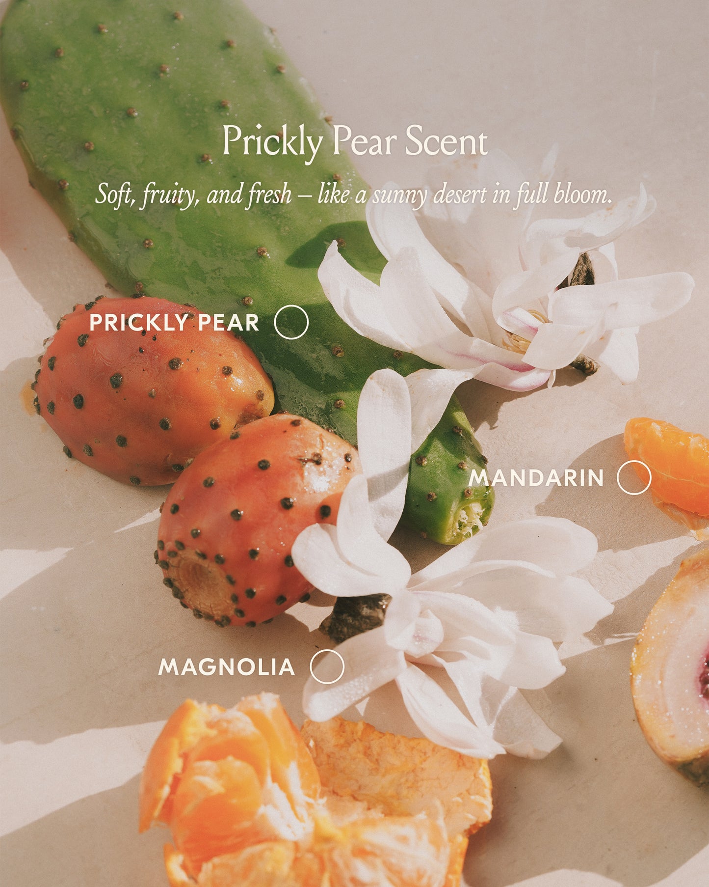 Prickly Pear Hair Oil - Mini