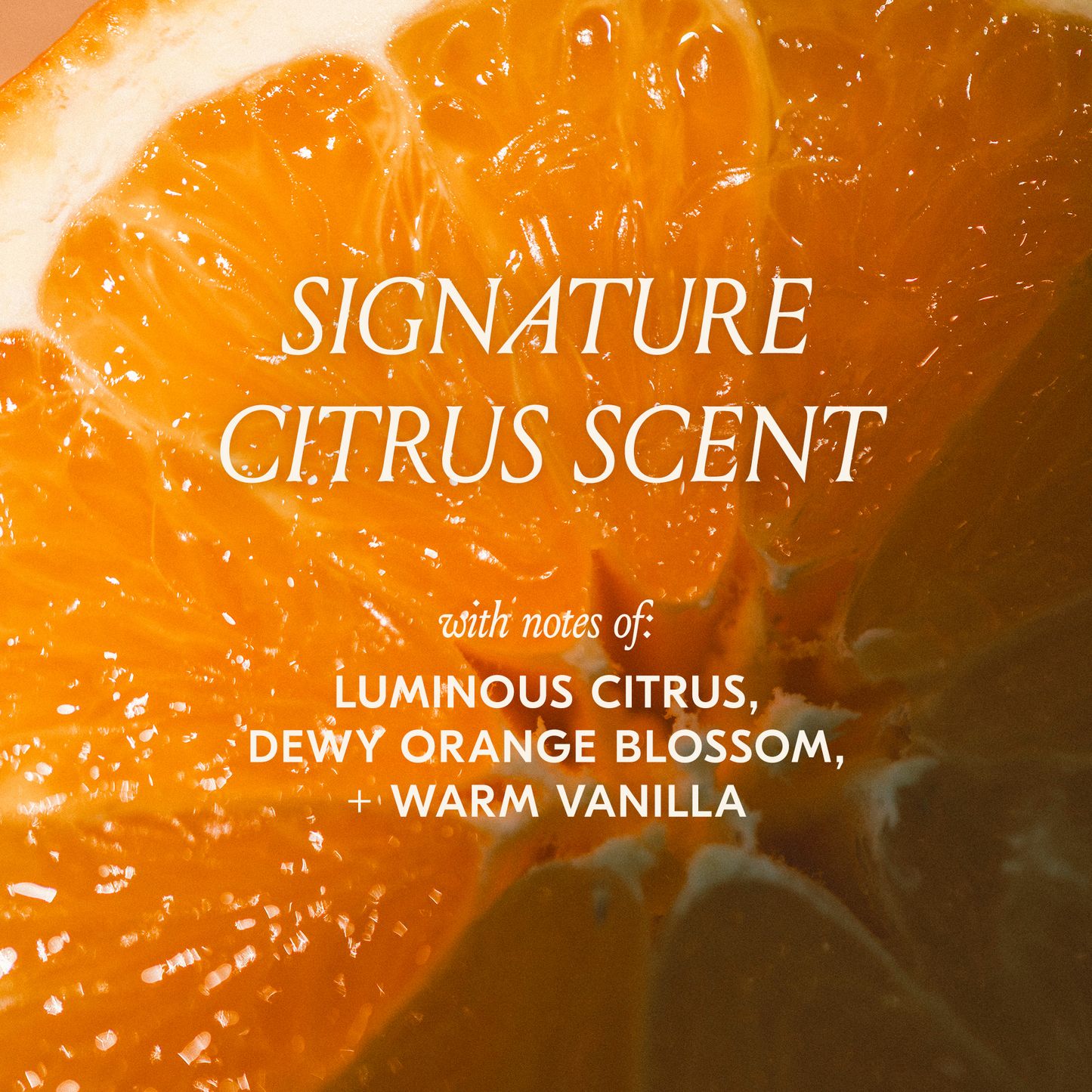 Charmed By The Desert Kit