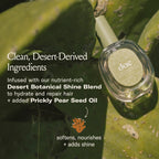 Prickly Pear Hair Oil - Full-Size