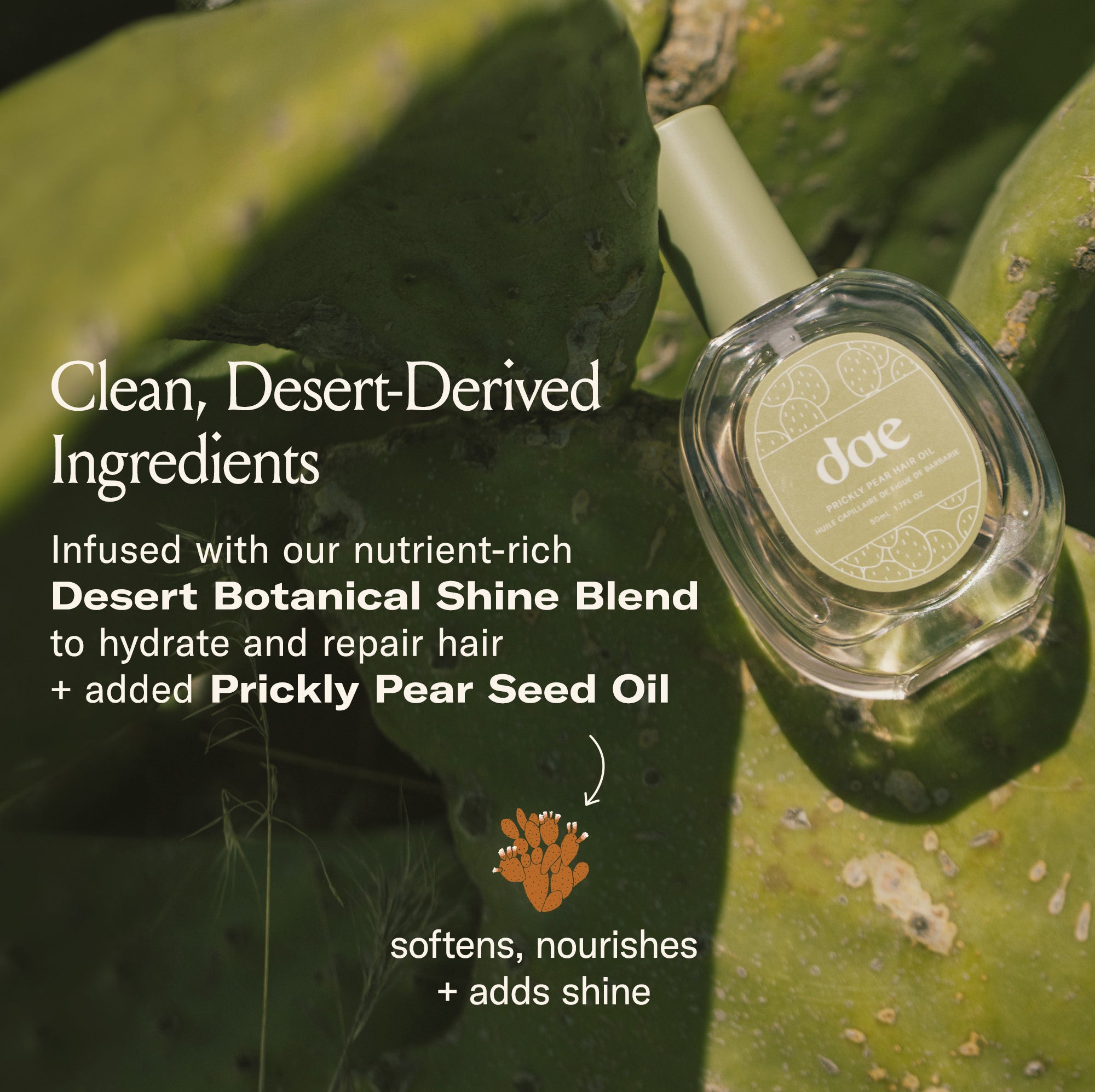 Prickly Pear Hair Oil - Full-Size