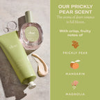 Shine & Sparkle Trio