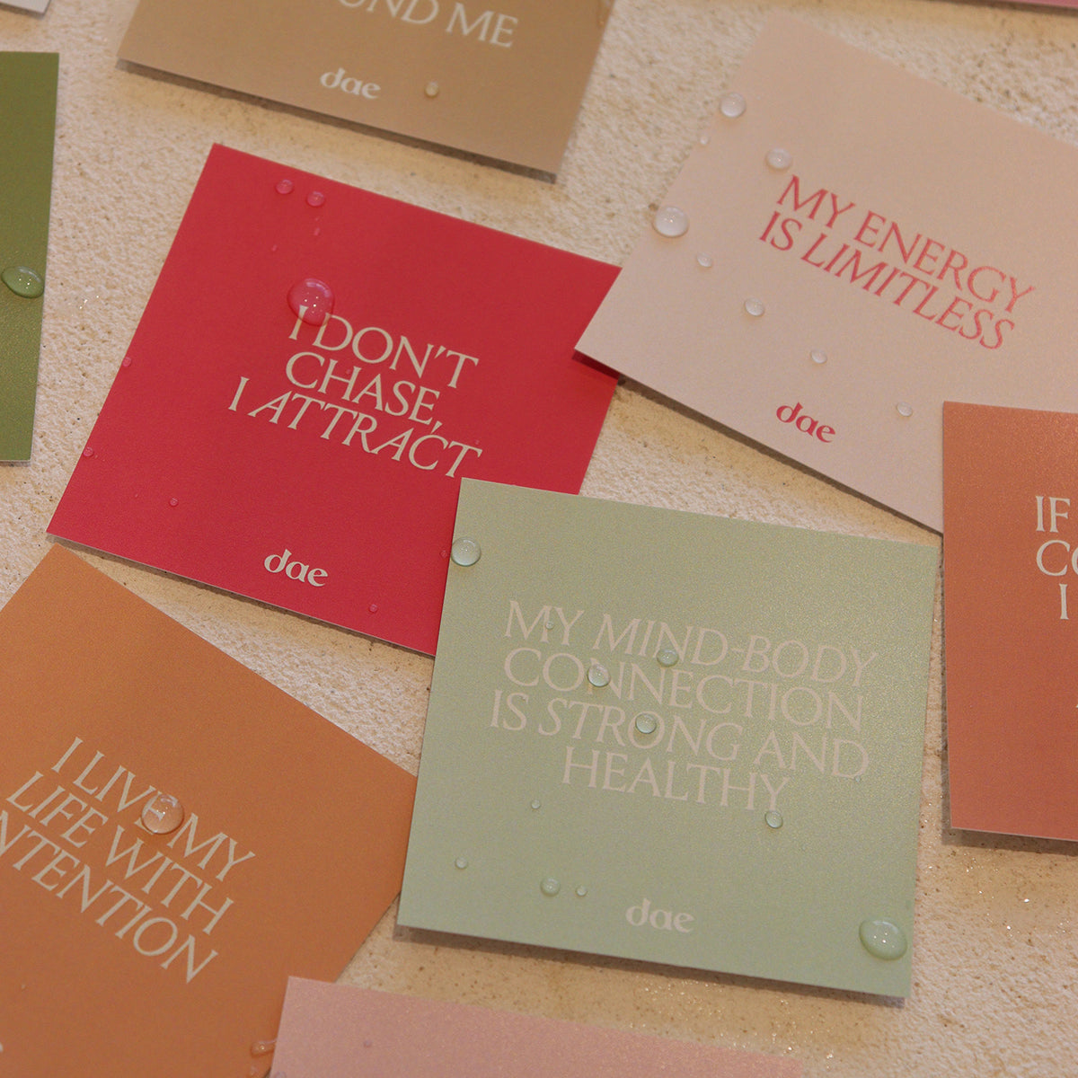 The Twelve Month Mantra Kit